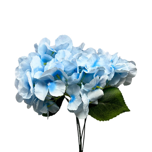 Southern Hydrangea Bush x5 - 18" Pale Blue | QOE
