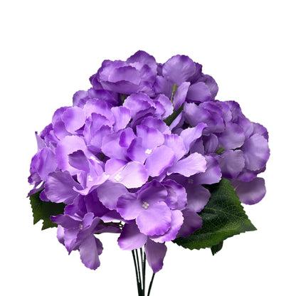 Southern Hydrangea Bush x5 - 18" Purple | QOE