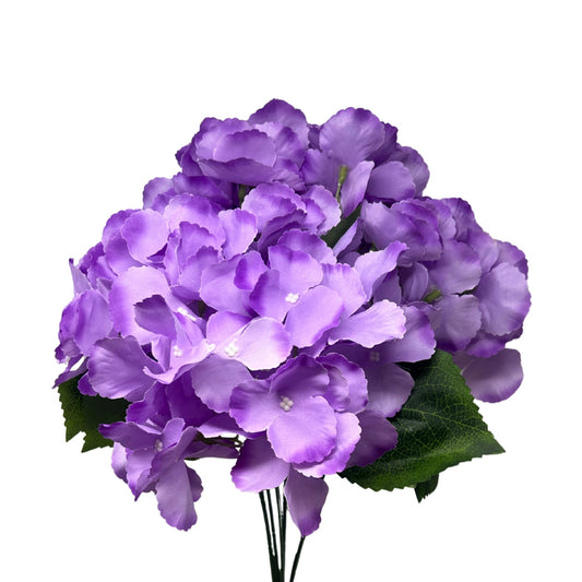 Southern Hydrangea Bush x5 - 18" Purple | QOE