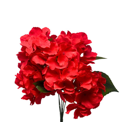 Southern Hydrangea Bush x5 - 18" Red | QOE