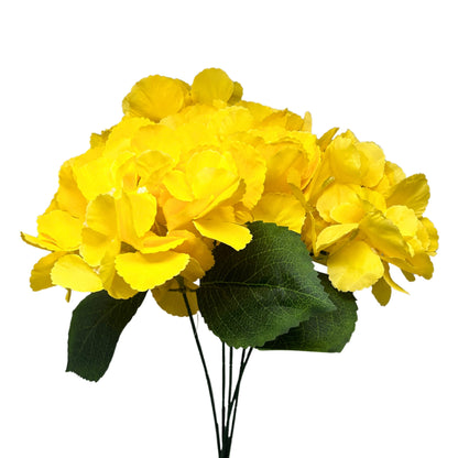 Southern Hydrangea Bush x5 - 18" Yellow | QOE