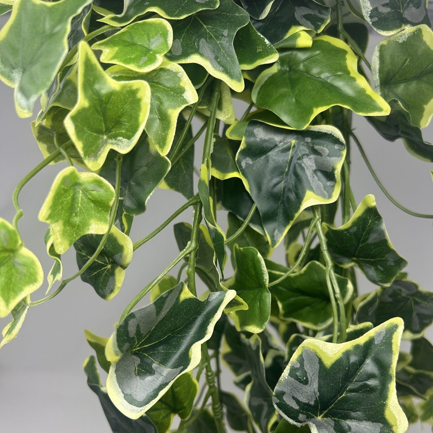Real Touch English Ivy Bush 44" Variegated | QOE