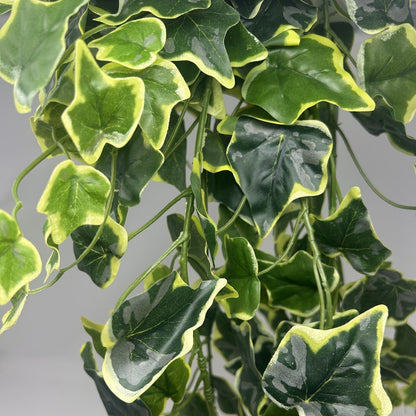 Real Touch English Ivy Bush 44" Variegated | QOE