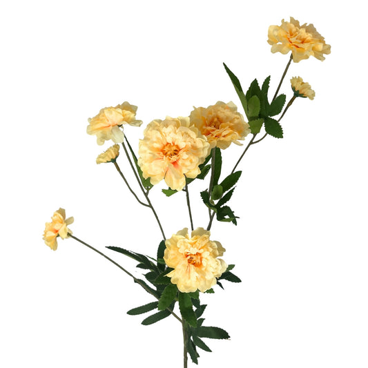 Ruffled Cosmos Stem 32.5" - Butter