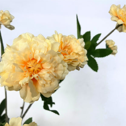 Ruffled Cosmos Stem 32.5" - Butter