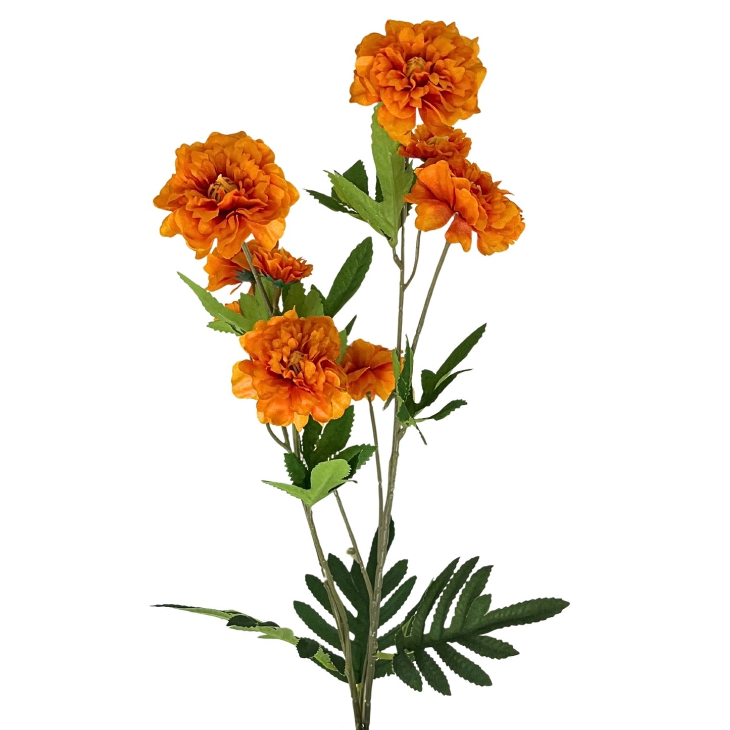 Ruffled Cosmos Stem 32.5" - Orange