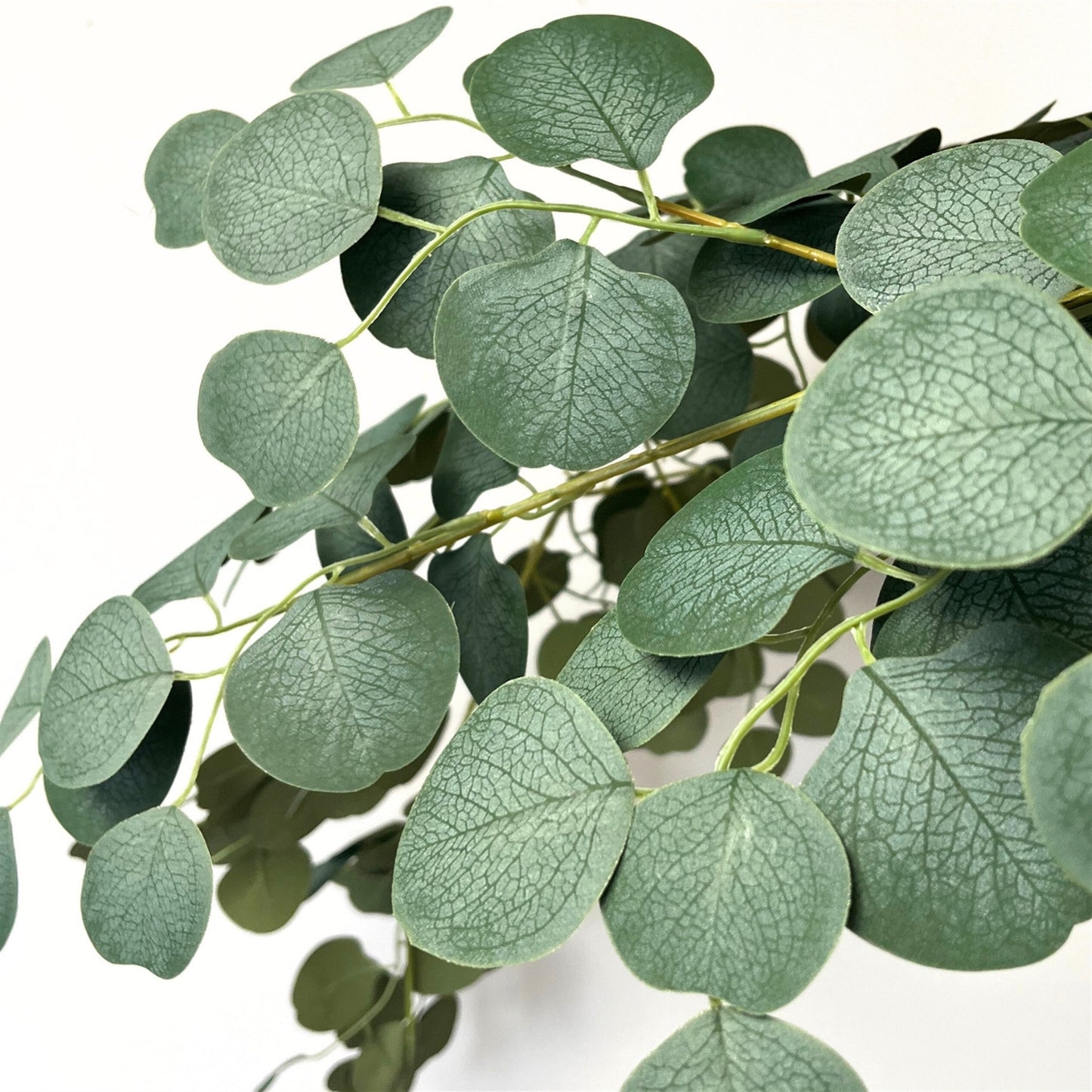 Hanging Silver Dollar Eucalyptus Vine 52" - Green