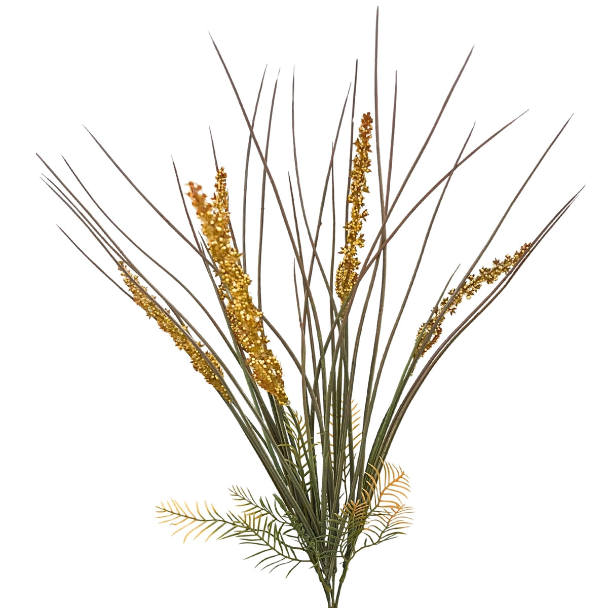 Wispy Millet Grass Bush x5 - 21" - Mustard | GT