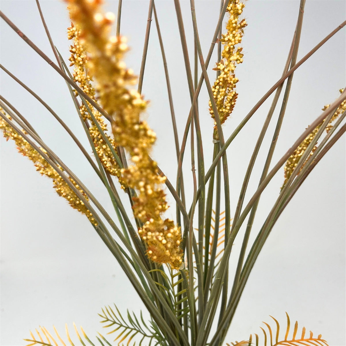 Wispy Millet Grass Bush x5 - 21" - Mustard | GT