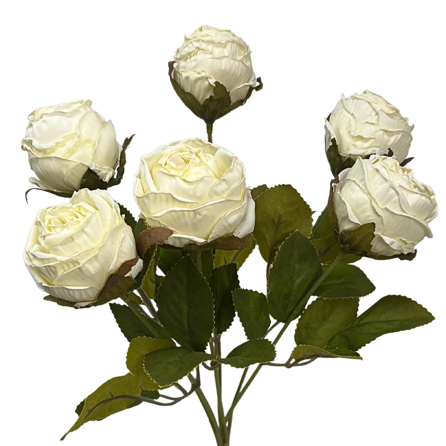 Mini Faux Dried Rose Bush x6 - 12" - Cream | GT