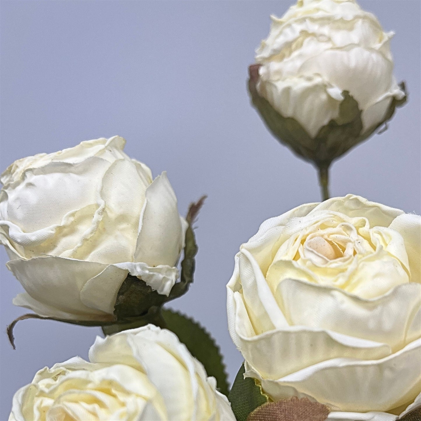 Mini Faux Dried Rose Bush x6 - 12" - Cream | GT