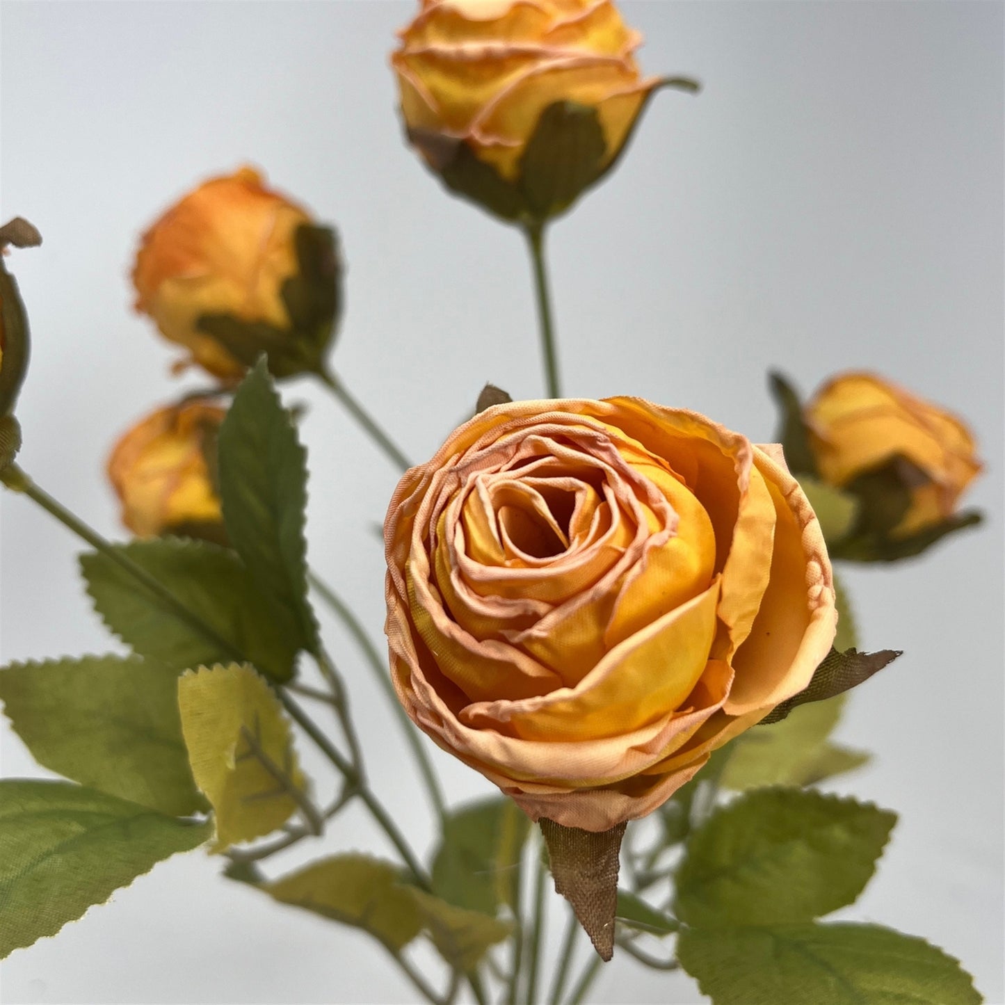 Mini Faux Dried Rose Bush x6 - 12" - Gold | GT