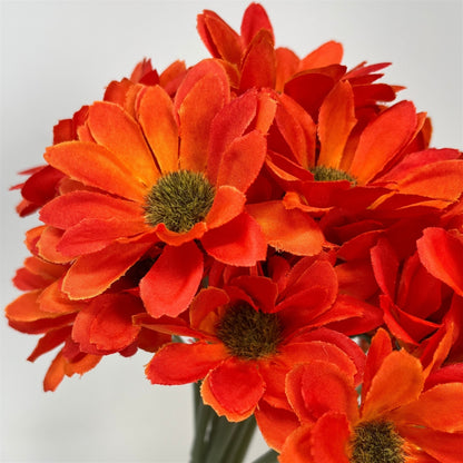 Delightful Daisy Bouquet - 12" x9 - Orange | GT