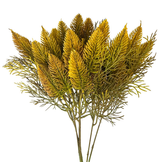 Lagurus Bundle 18" - x6 - Yellow | GT