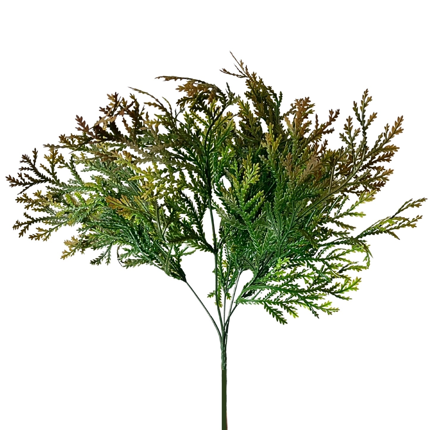 Lycopodium Bush 15" - Green/Brown