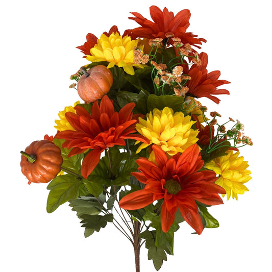 Fall Dahlia/Mum x 24 Mixed Bush 22" | CZ
