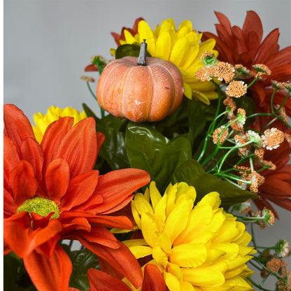 Fall Dahlia/Mum x 24 Mixed Bush 22"