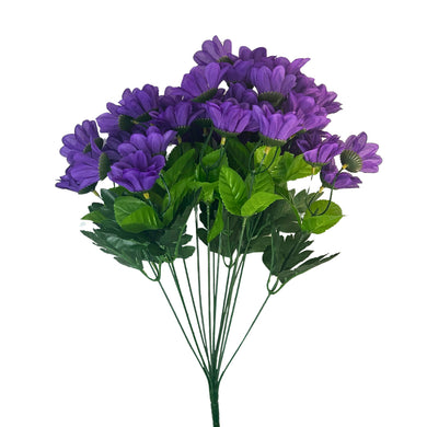 Chrysanthemum Bush (18”) x 14   Purple