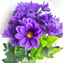 Load image into Gallery viewer, Chrysanthemum Bush (18”) x 14   Purple