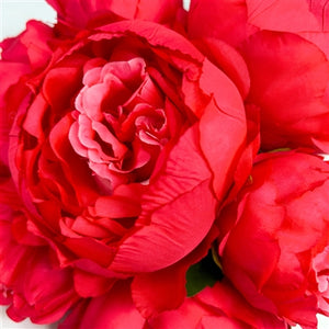 Perfect Peony Bouquet x 7 - 11” - Beauty |YSE