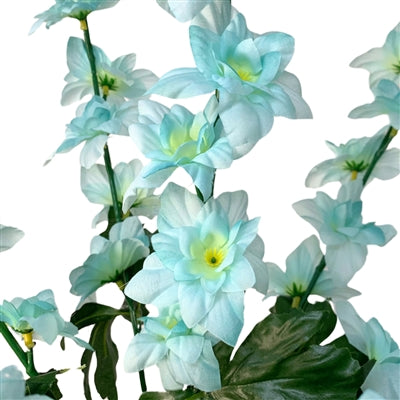 Delphinium Bush x 7 - 28” - Aqua |BYE