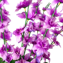 Load image into Gallery viewer, Delphinium Bush x 7 - 28” - Purple |BYE