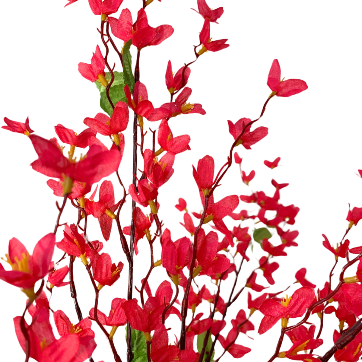 Star Blossom Bush x 7 - 24” - Beauty | BYE