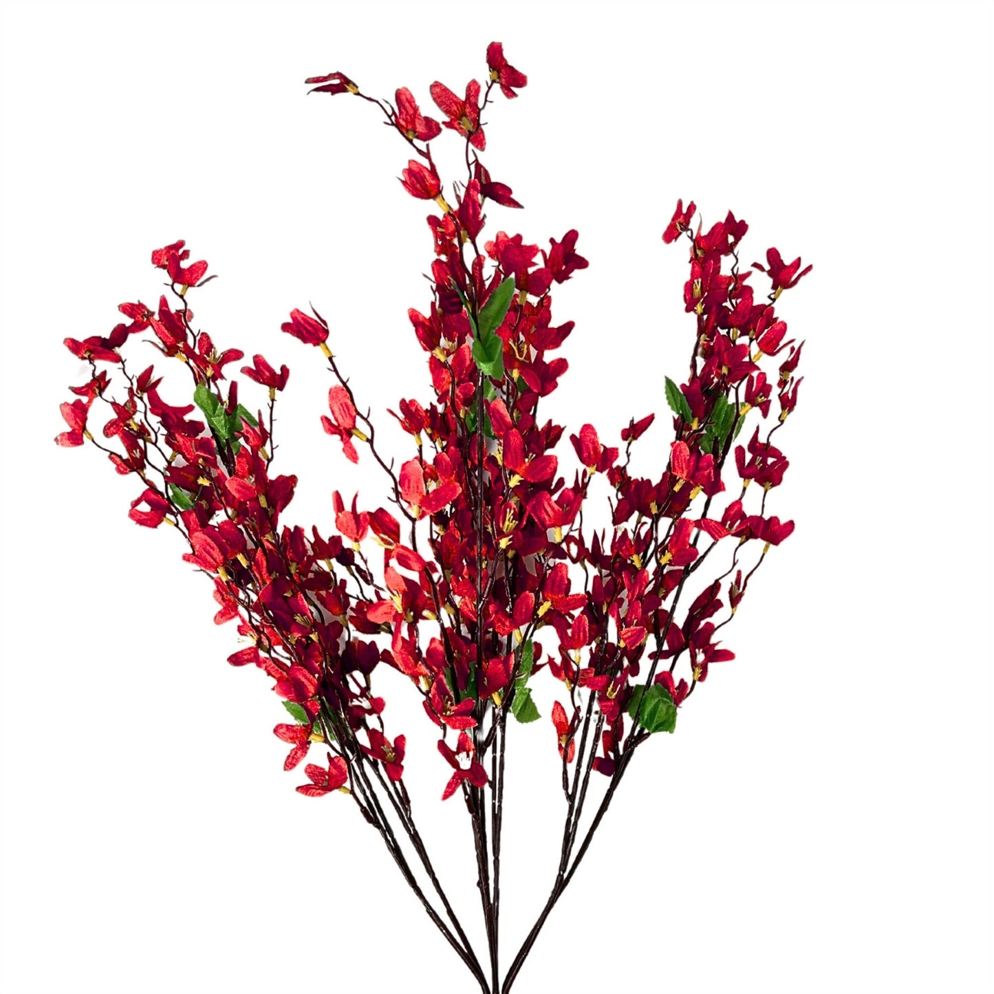 Star Blossom Bush x7 - 24" - Red | BYE