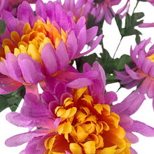 Load image into Gallery viewer, Tropical Mum Bush x 14 - 19” - Purple/Yellow |BYE