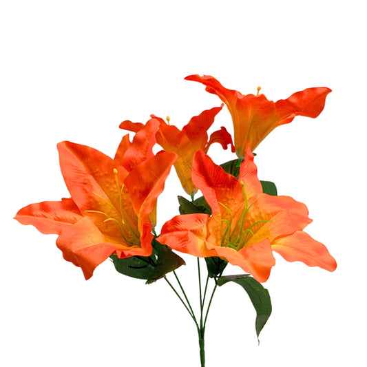 Orchid Bush (16”) x 5  Orange