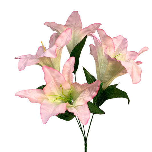 Orchid Bush (16”) x 5  Pink