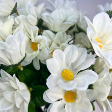 Load image into Gallery viewer, Chrysanthemum Bush (18”) x 14    Cream