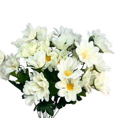 Chrysanthemum Bush (18”) x 14    Cream