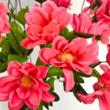 Load image into Gallery viewer, Chrysanthemum Bush (18”) x 14    Hot Pink