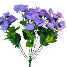 Load image into Gallery viewer, Chrysanthemum Bush (18”) x 14    Lavender