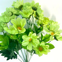 Load image into Gallery viewer, Chrysanthemum Bush (18”) x 14    Lime Green