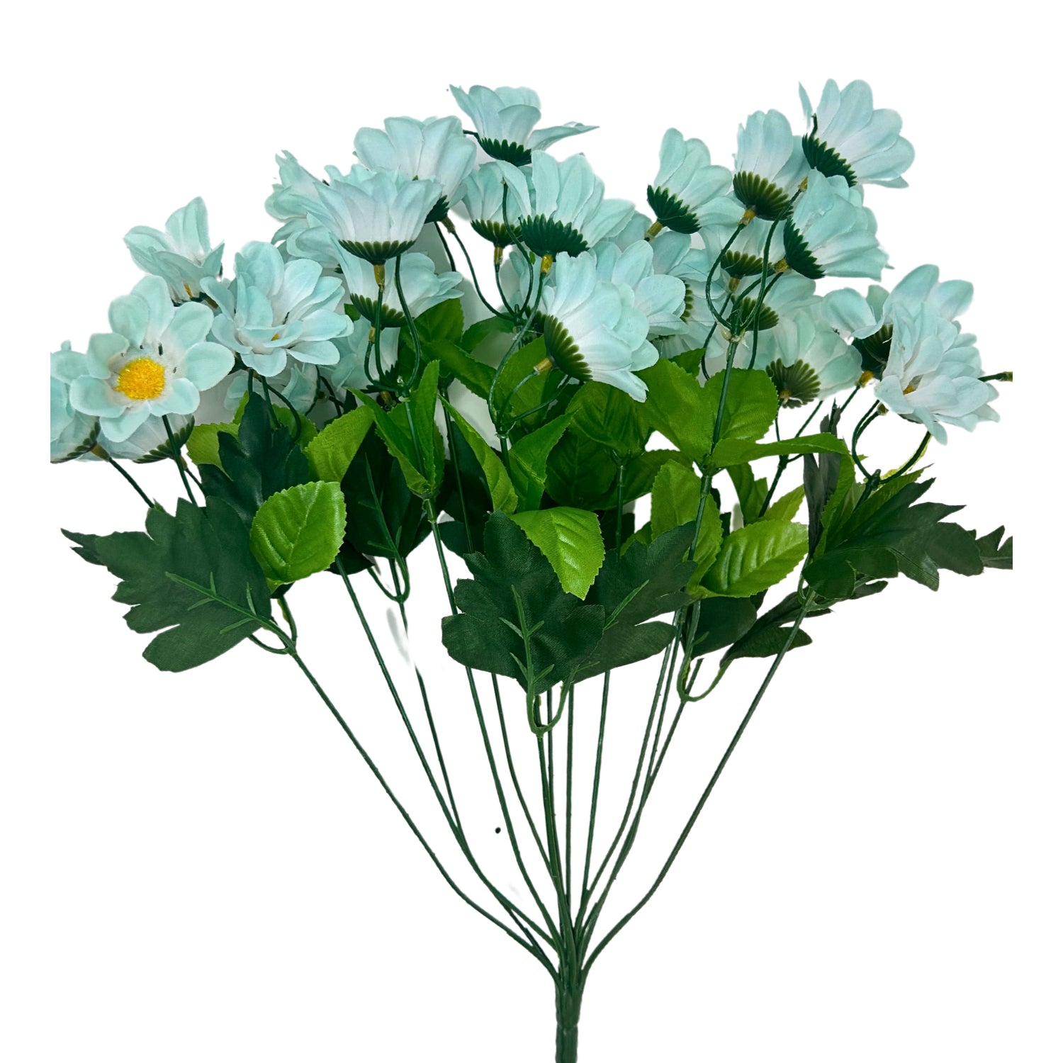 Chrysanthemum Bush (18”) x 14 Light Blue David Christopher's