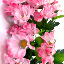 Load image into Gallery viewer, Chrysanthemum Bush (18”) x 14    Light Pink