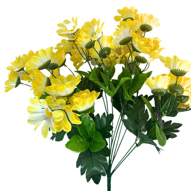 Chrysanthemum Bush (18”) x 14   Yellow