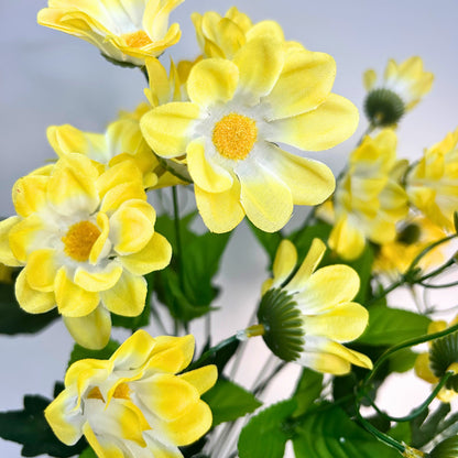 Chrysanthemum Bush (18”) x 14   Yellow