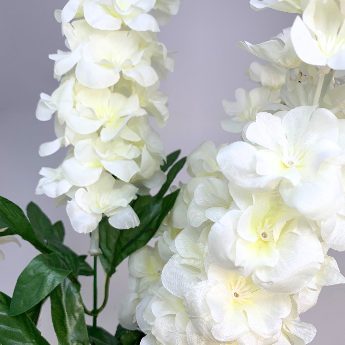 Stock Flower Bush x 5 - Cream 27" | CZE