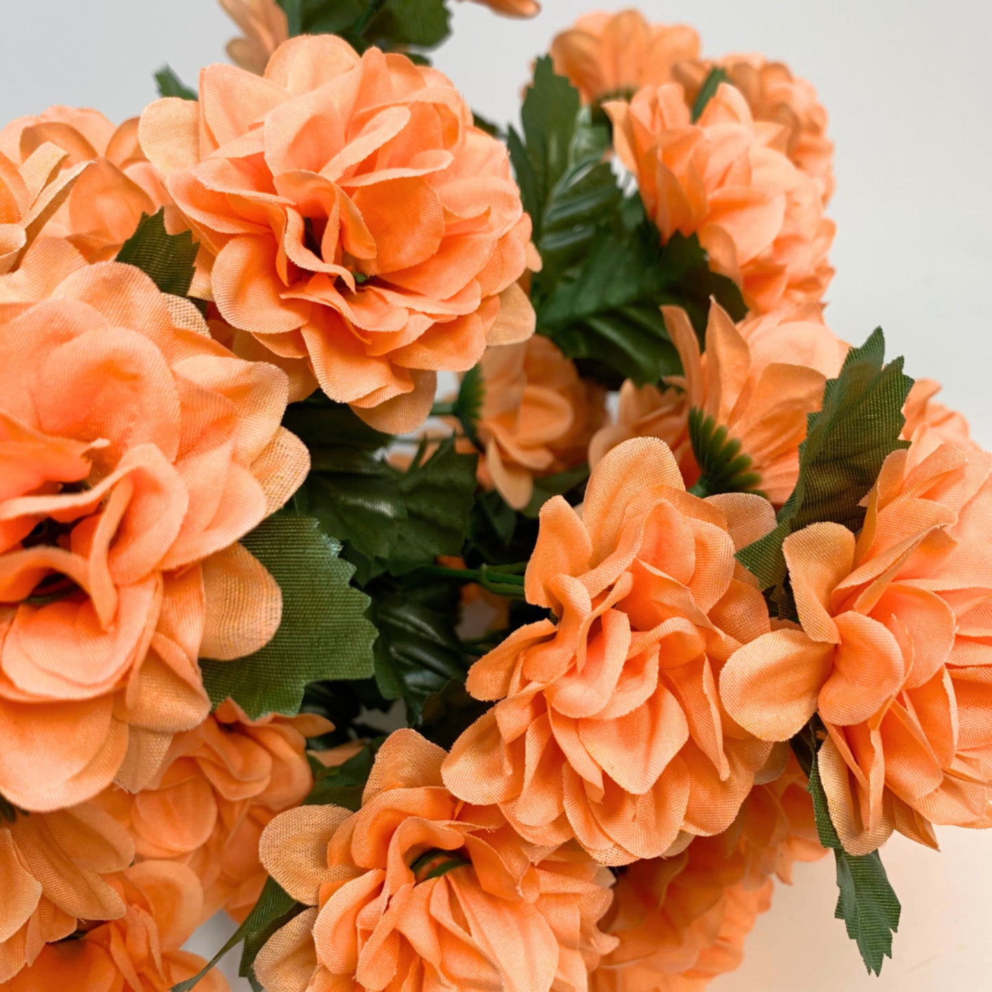 Ruffled Marigold Bush x 14 - Coral 17" | CZE