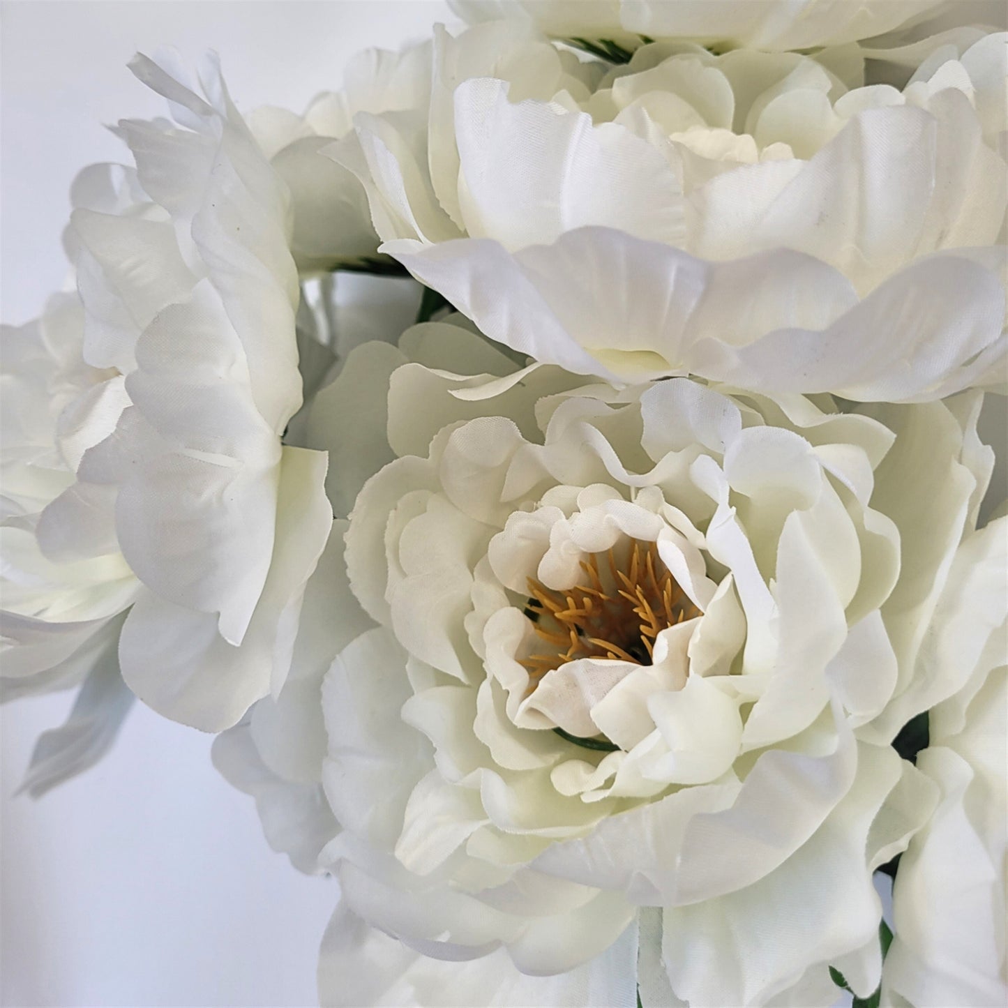 Peony Bush x7 Cream 18" | CZE