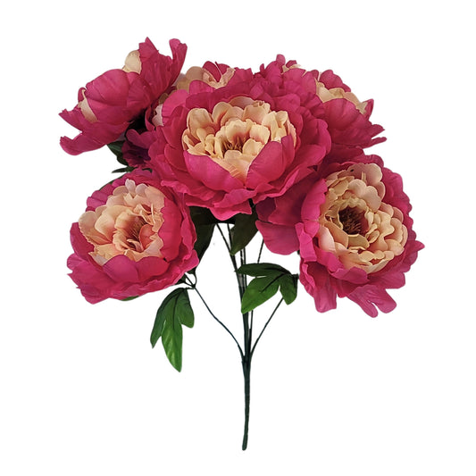 Peony Bush x 7 Blooms Hot Pink/Beige 18" | CZE