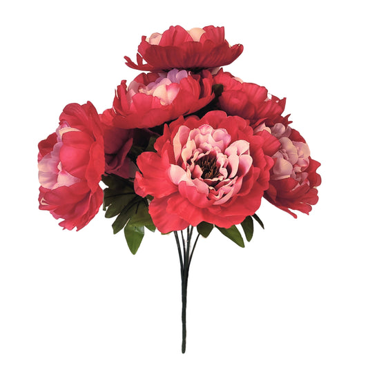 Peony Bush x 7 Blooms Pink 18" | CZE