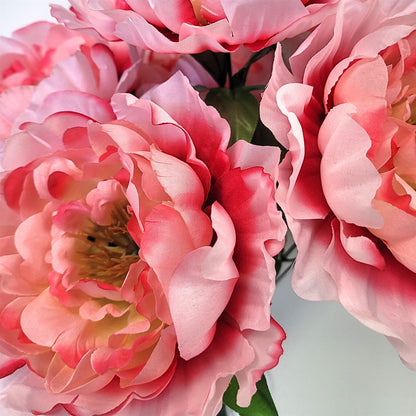 Peony Bush x7 Blooms Pink 18" | CZE