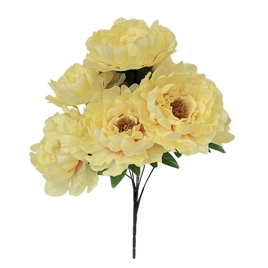 Peony Bush x 7 Blooms Yellow 18" | CZE