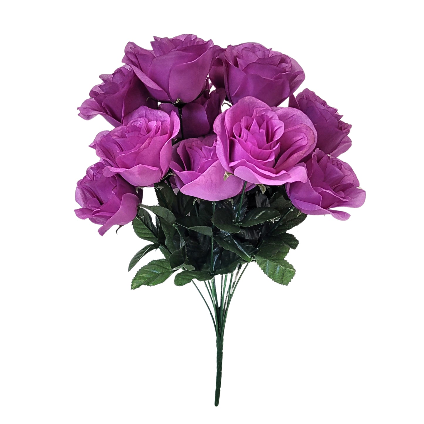 Medium Open Rose Bush x 14 - Lavender 19" | CZE