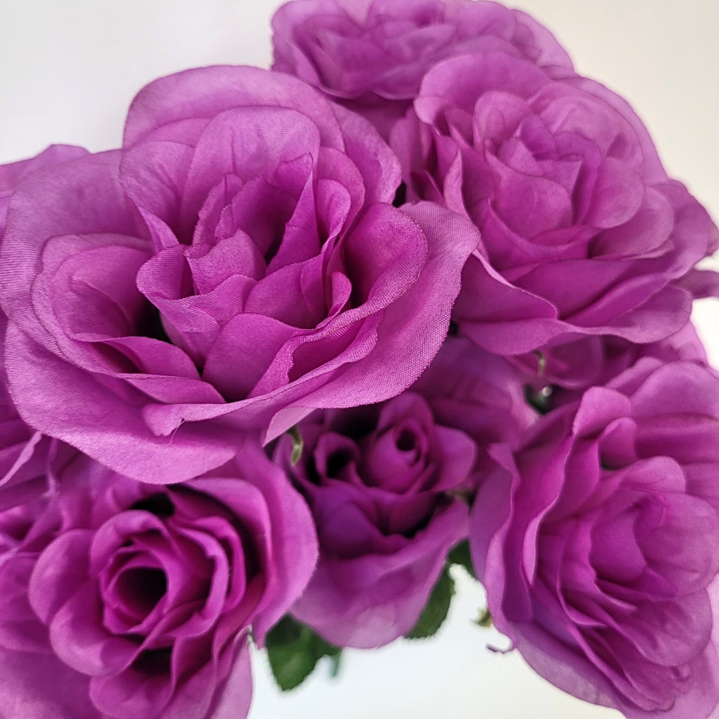 Medium Open Rose Bush x 14 - Lavender 19" | CZE