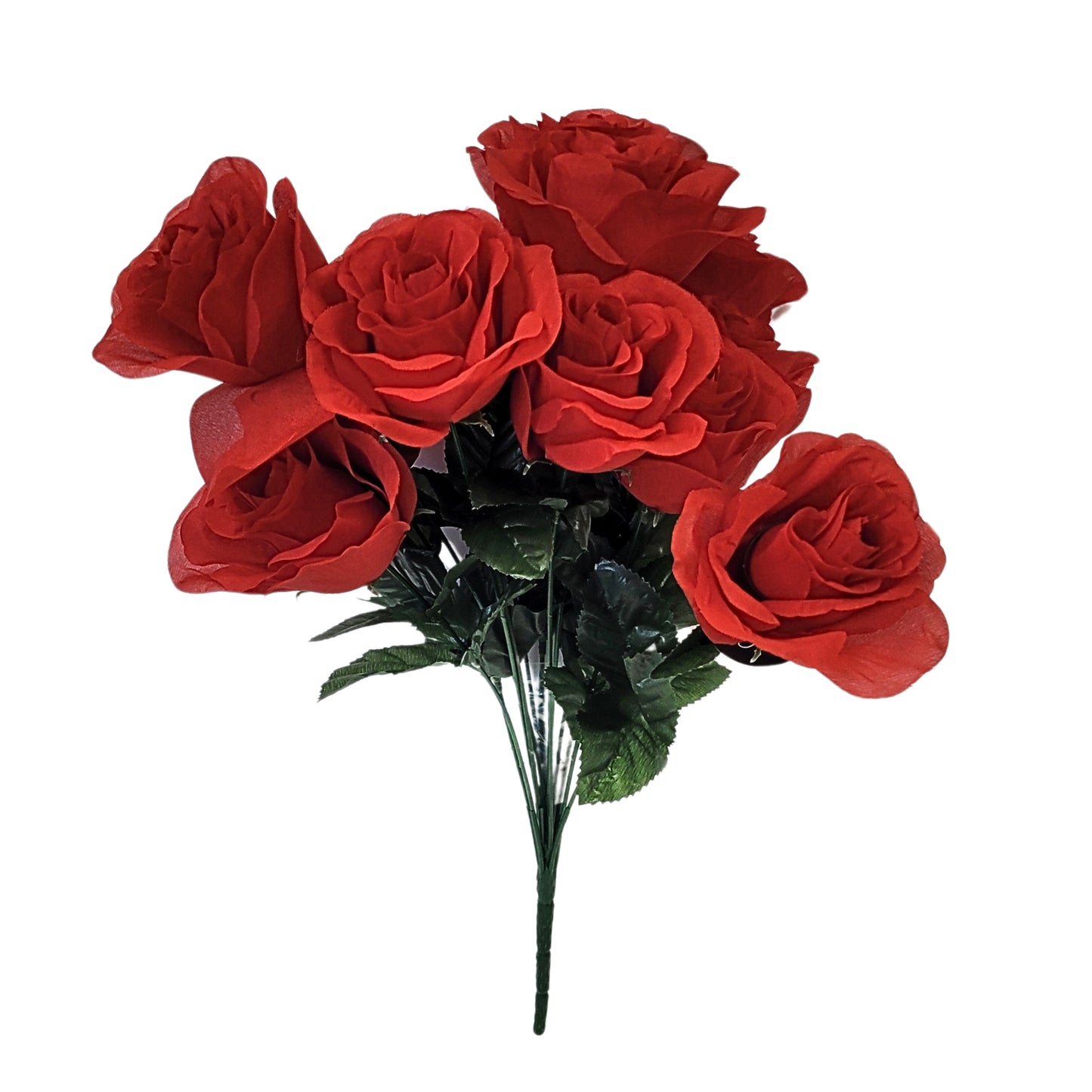 Medium Open Rose Bush x 14 - Red | CZE